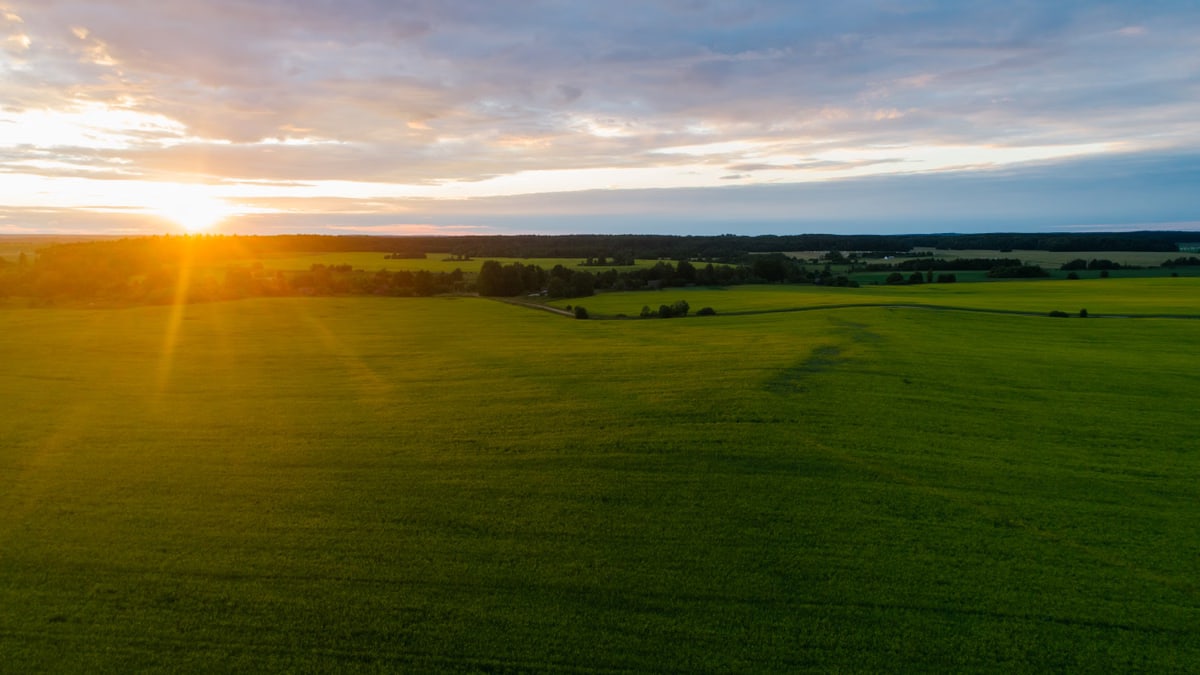 Veselīga uztura pamati